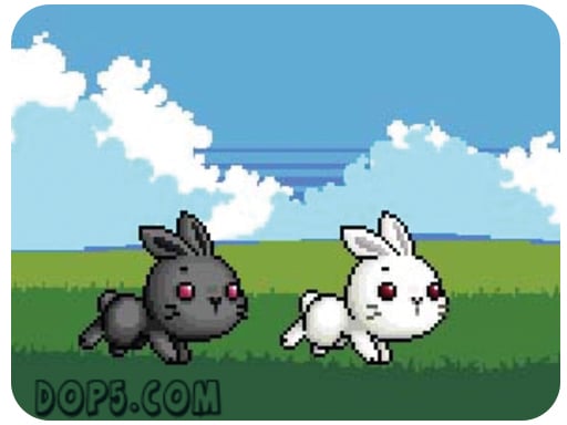 bu-bunny-two-rabbit