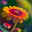 flower-tile-block-puzzle